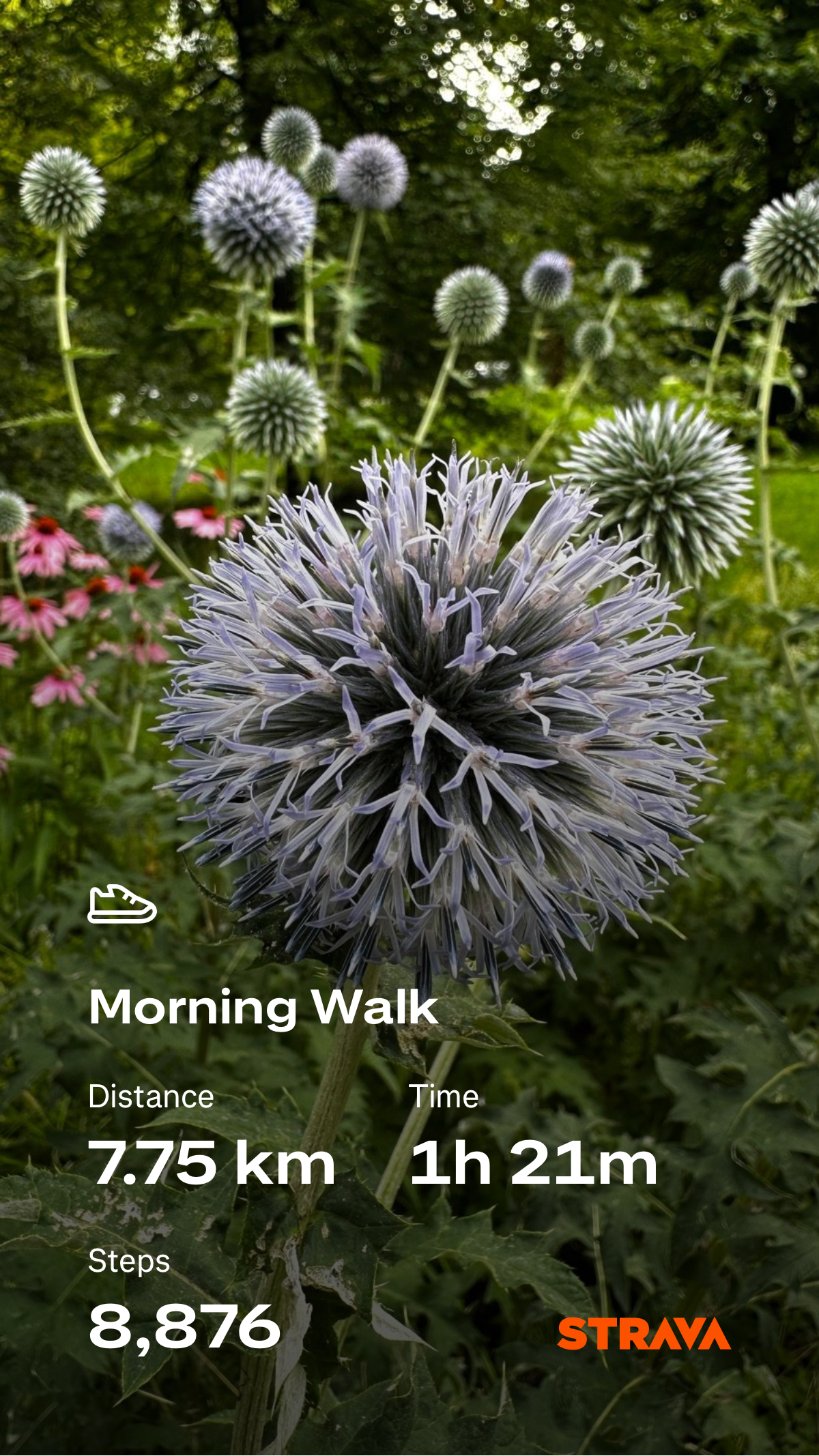 17041ce5-a86d-4d86-aea2-0f8a9037d7ba