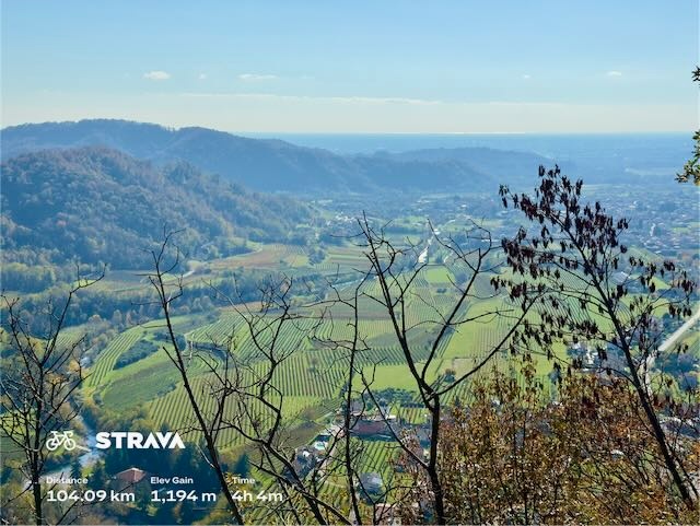 774cbc23-ceeb-476a-a4c5-5255b61b2811