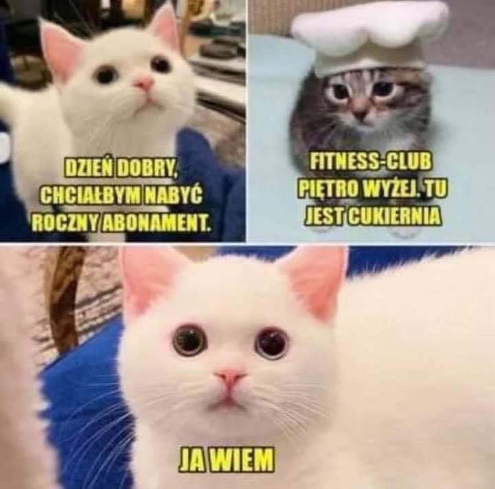 ed7bc0b3-60c6-4740-bb2b-0fafd7f04f31