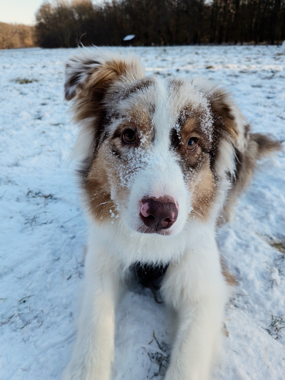 8e2ead76-e941-41d7-9009-077ebe96a932