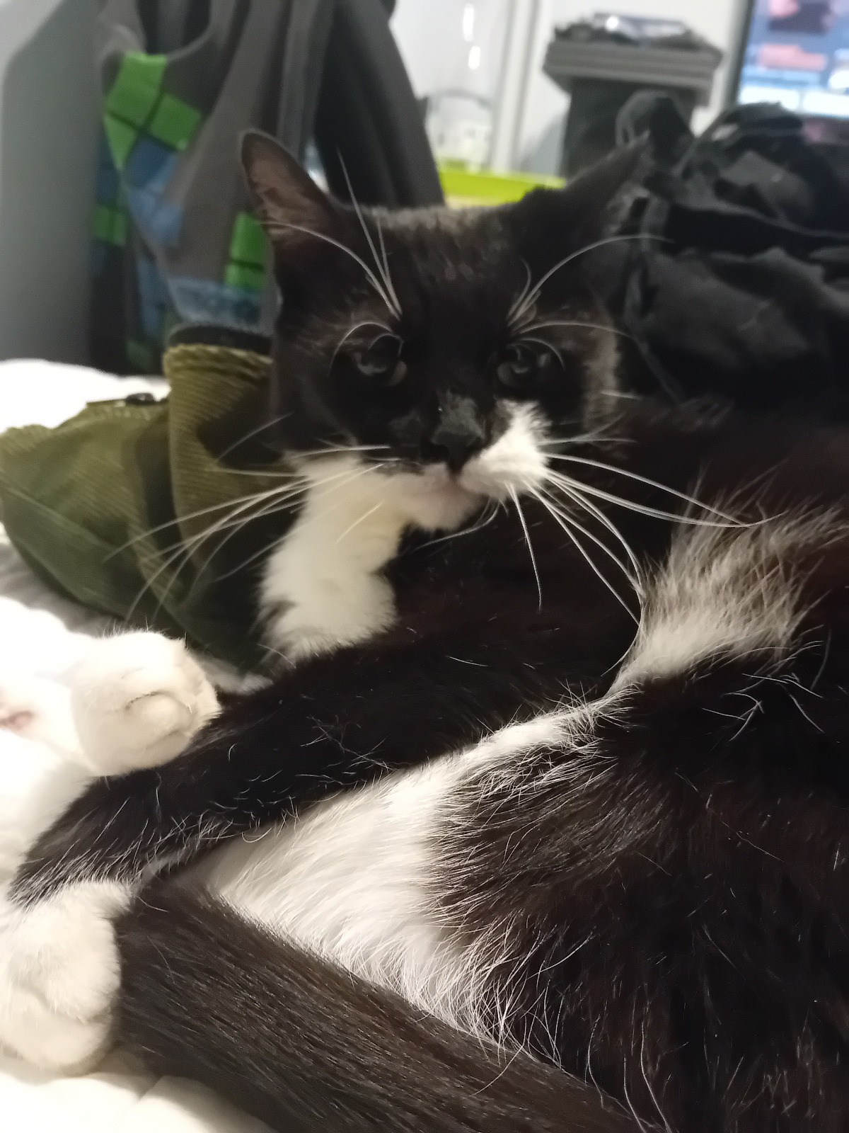 301be9dd-af32-46d9-9021-73a0fbcb202a