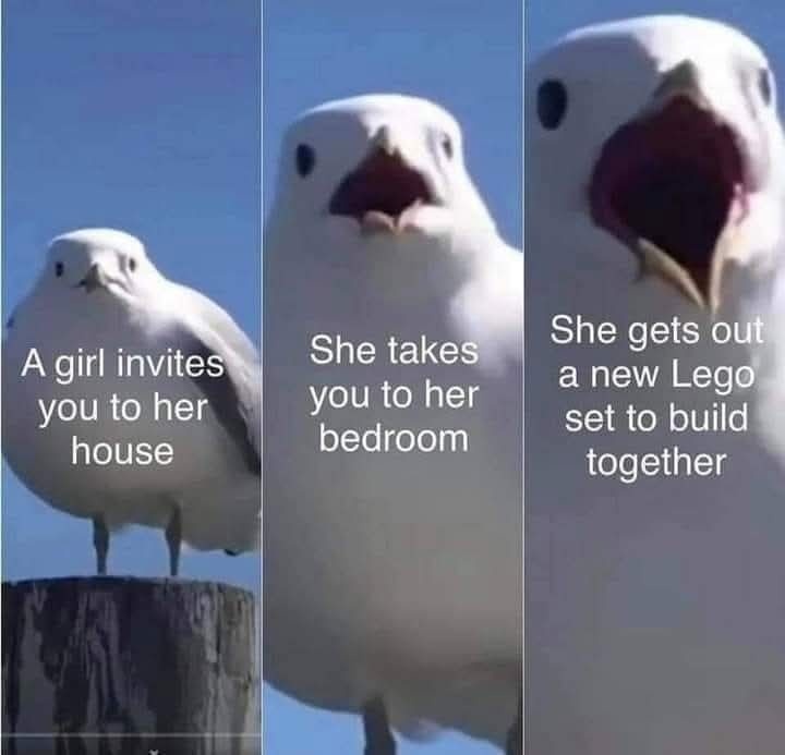 3cb0f364-c053-4c5f-9eb6-fdef535136f9