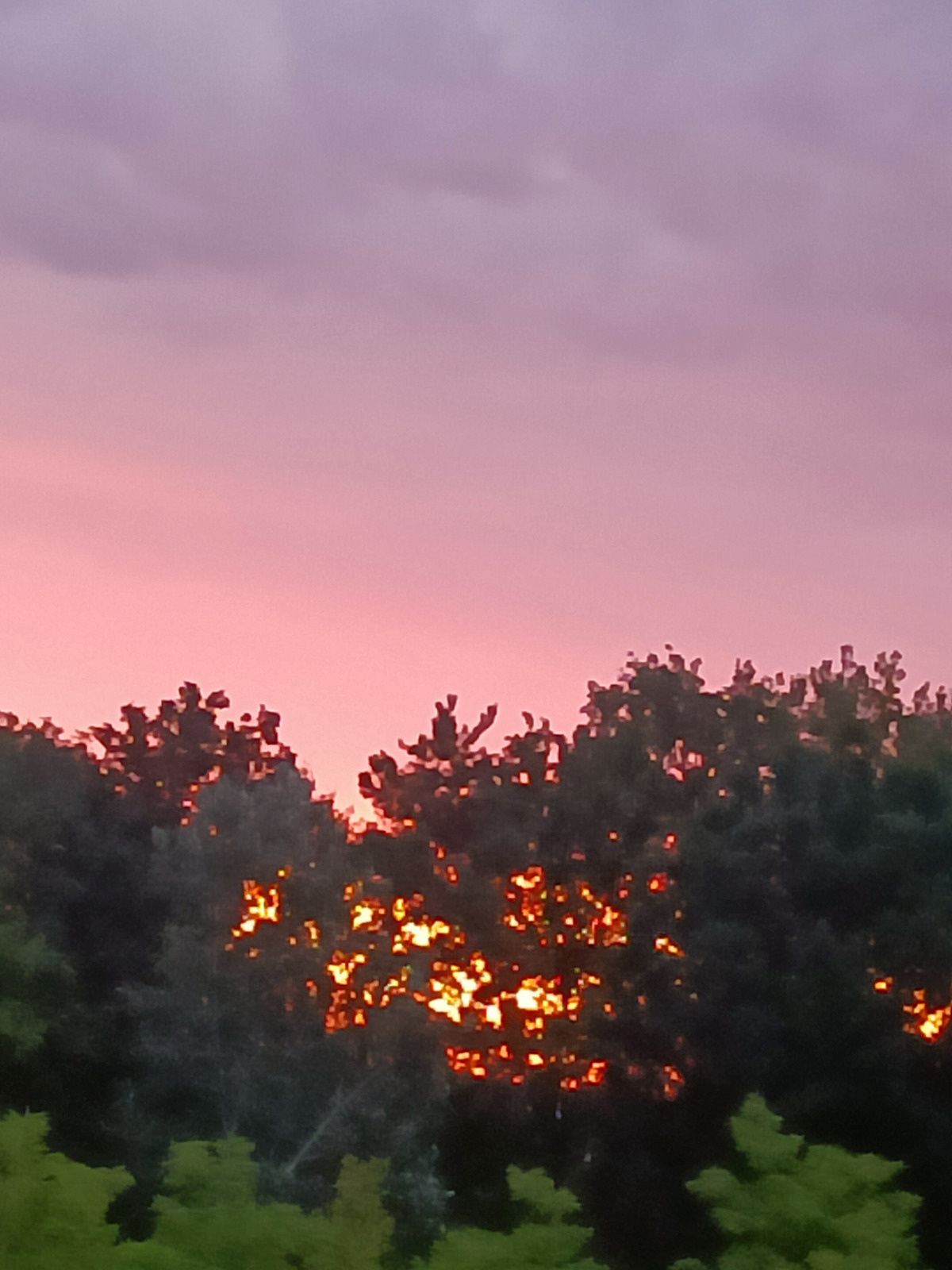 4e6f3a0b-c944-4b6b-9383-f2b703f9160e