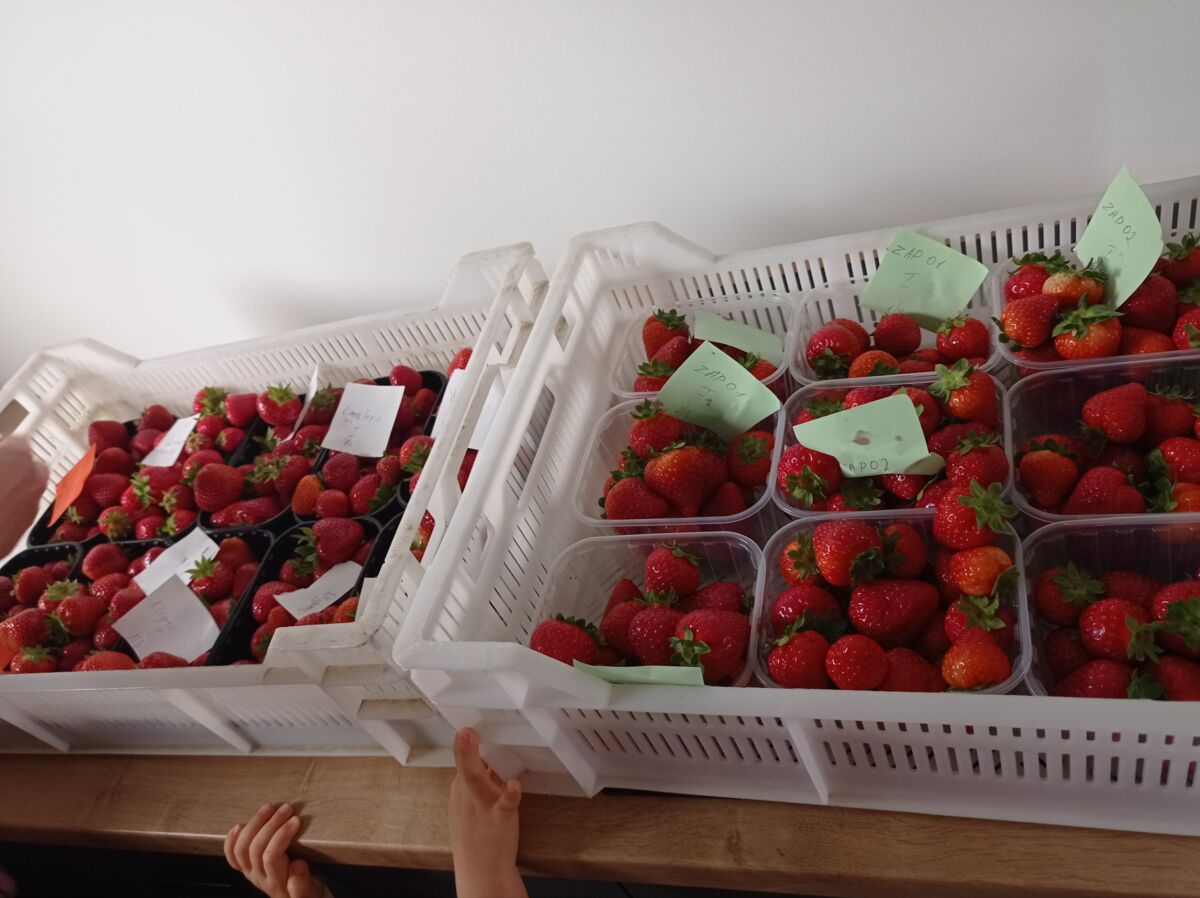 1c516304-c403-4521-a537-c732a4f18ac3