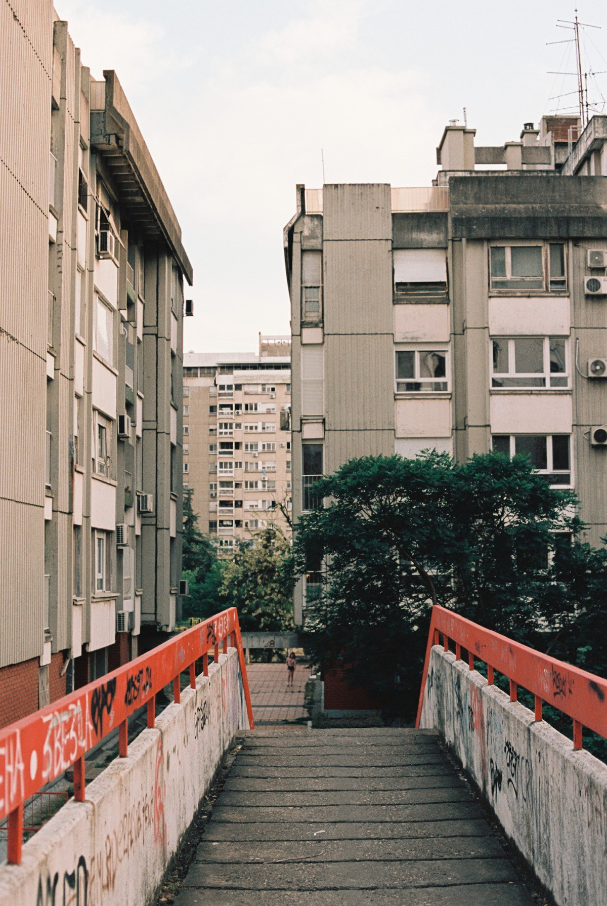 81aff69a-a557-4b92-aa68-64364303352d