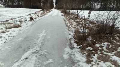 c9b6c214-9921-4870-b092-adfd9aa6081a