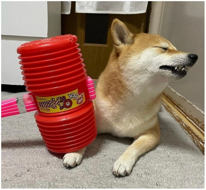 bfd7641a-357c-41c3-aa5c-ed368a32389a