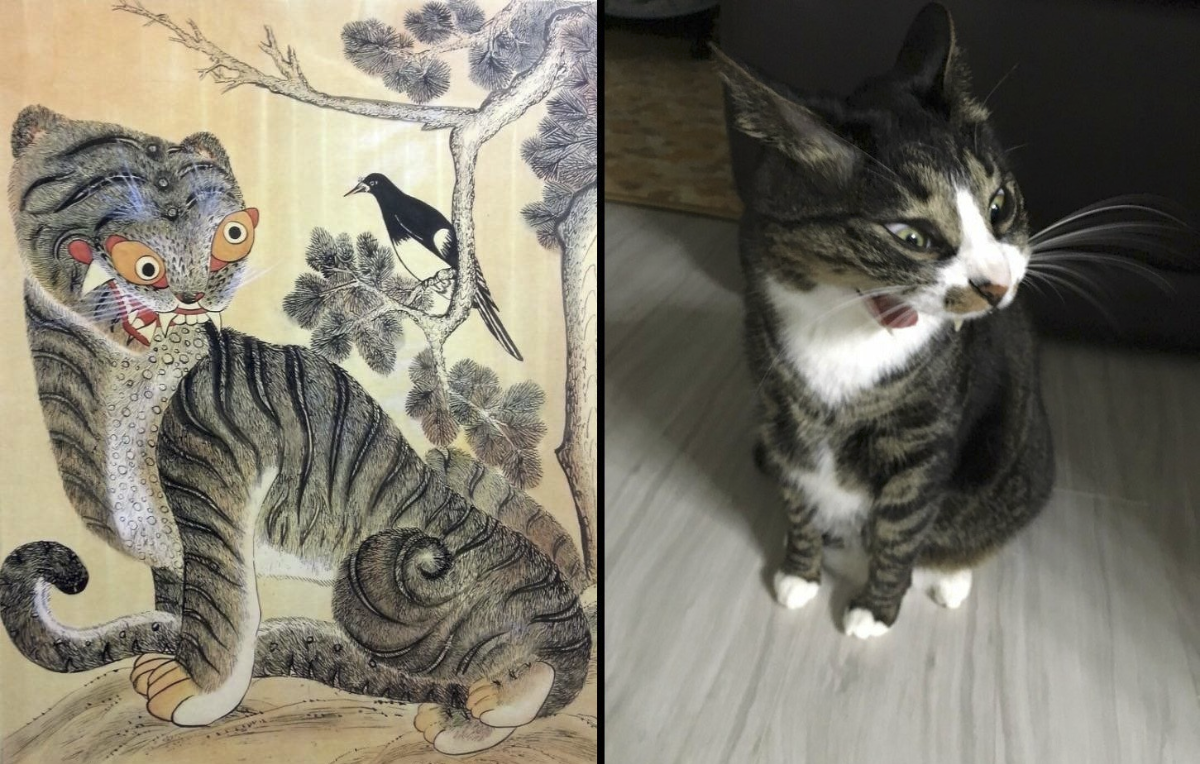 a215da09-beba-4e79-9642-3191da955e89