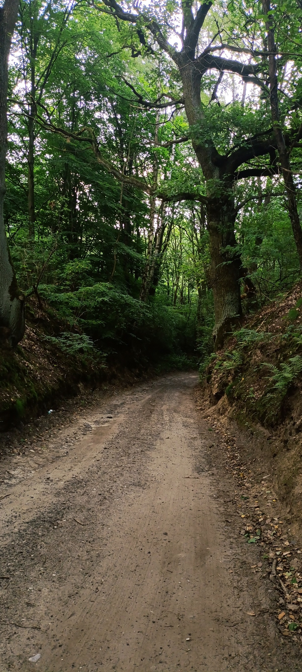 13f76c9a-a79c-48c8-87e5-5c00b416f9a1