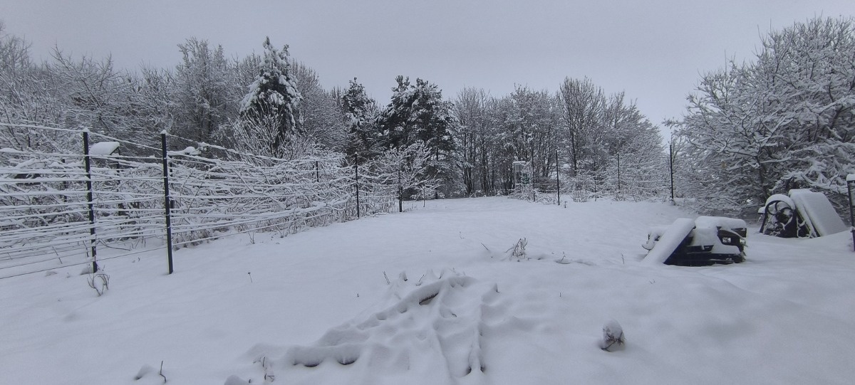 d8e5f81d-f8ba-4b7c-b33f-a96f0a631af5