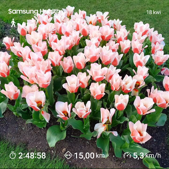 b5d43618-131f-47c6-96e9-0f37be688479