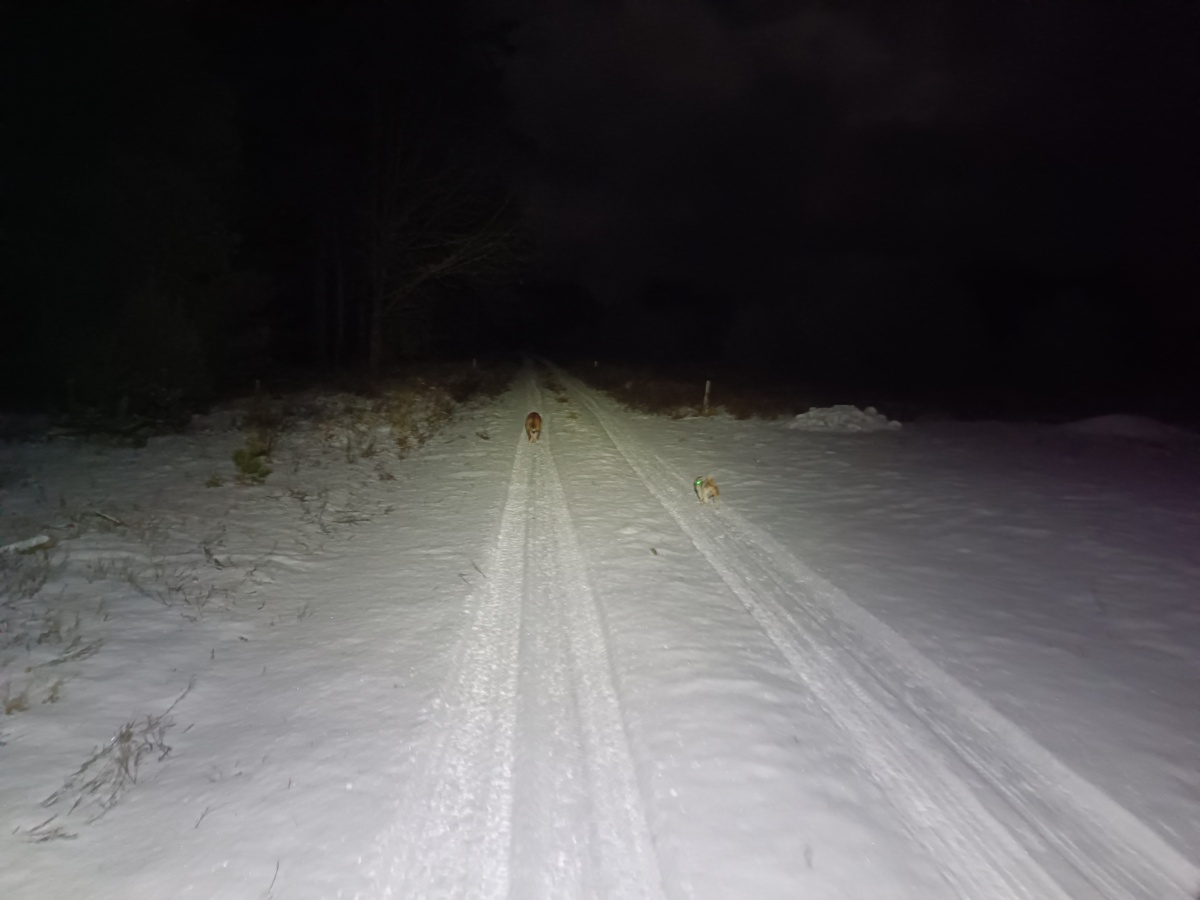 a7264879-f44f-404a-902d-3bc1f923bf69