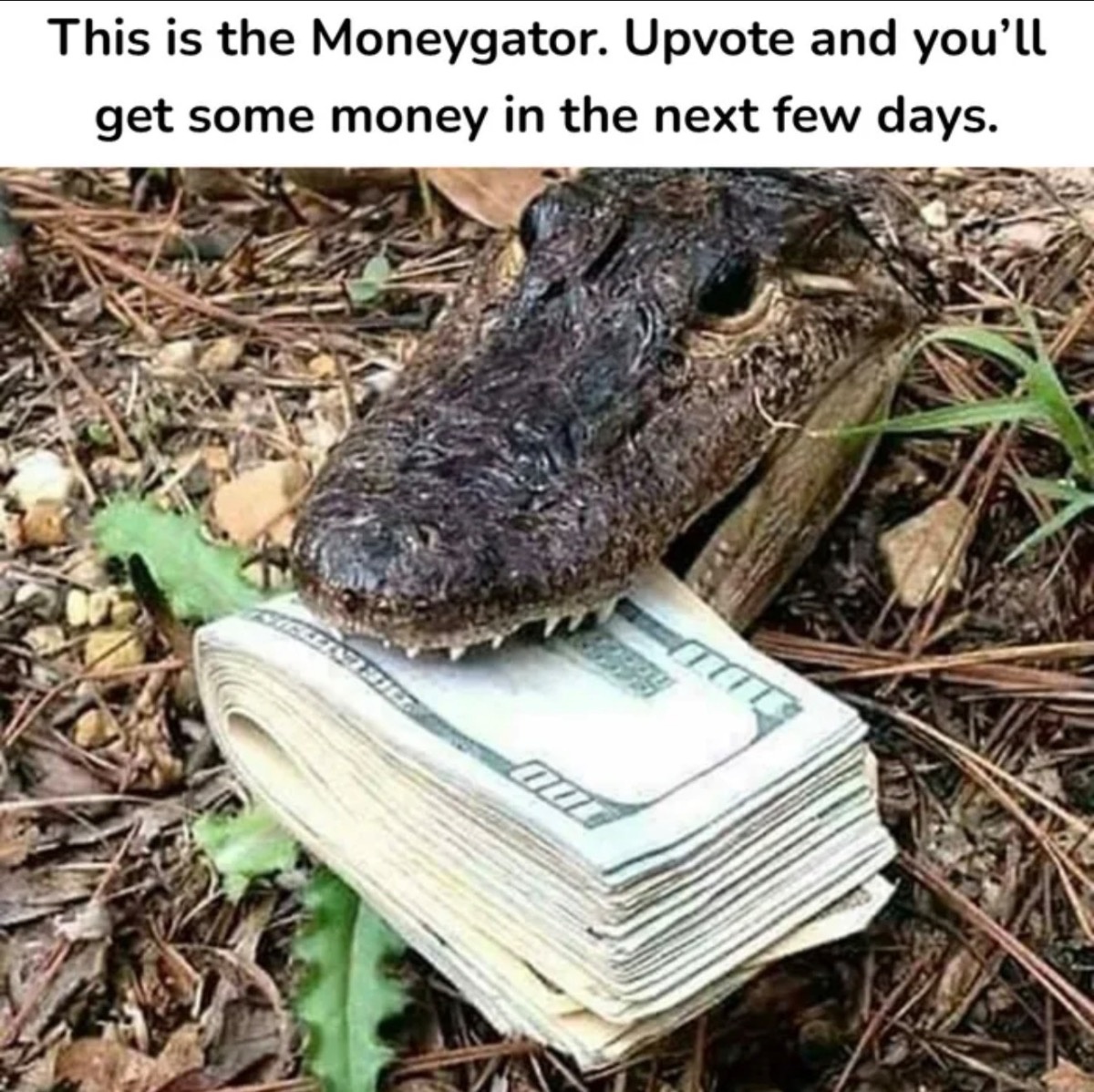 392da5d3-e87d-4c78-b520-21104fd6a77a