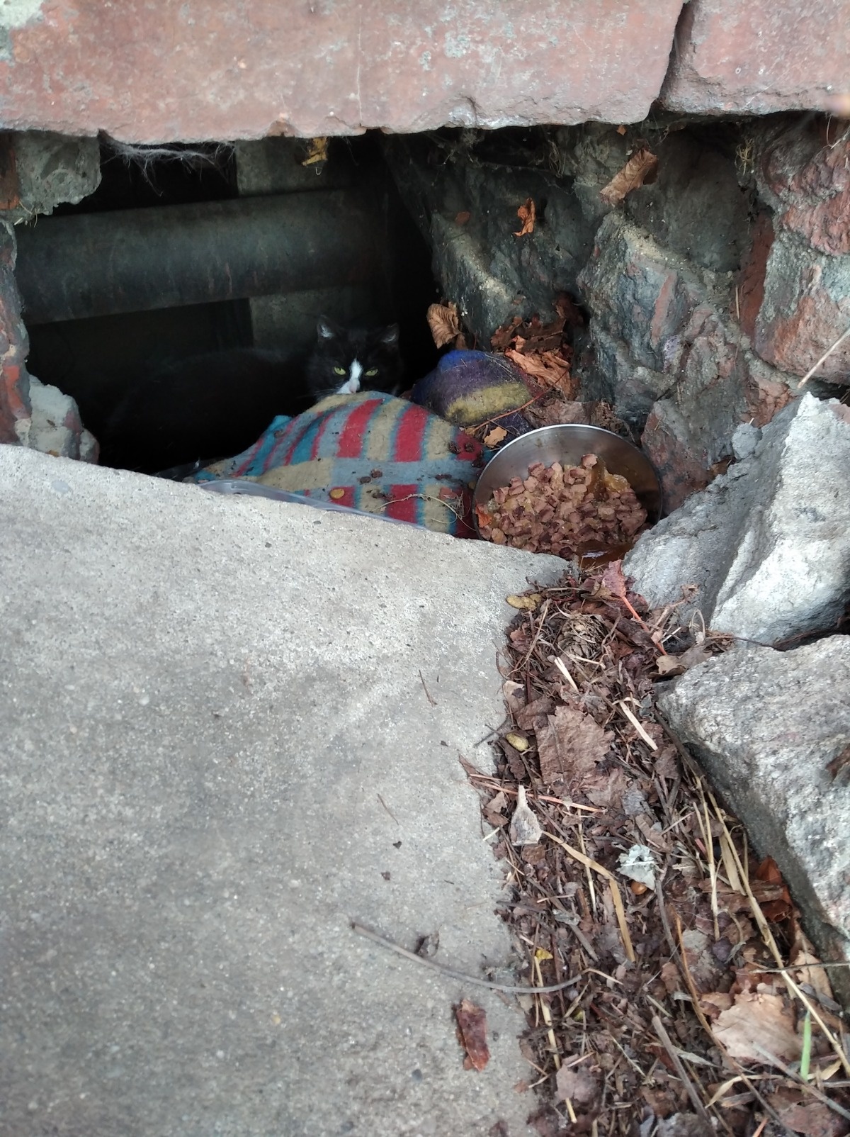 efdf5ba7-5de0-4fca-8826-0aa3f128fdc7