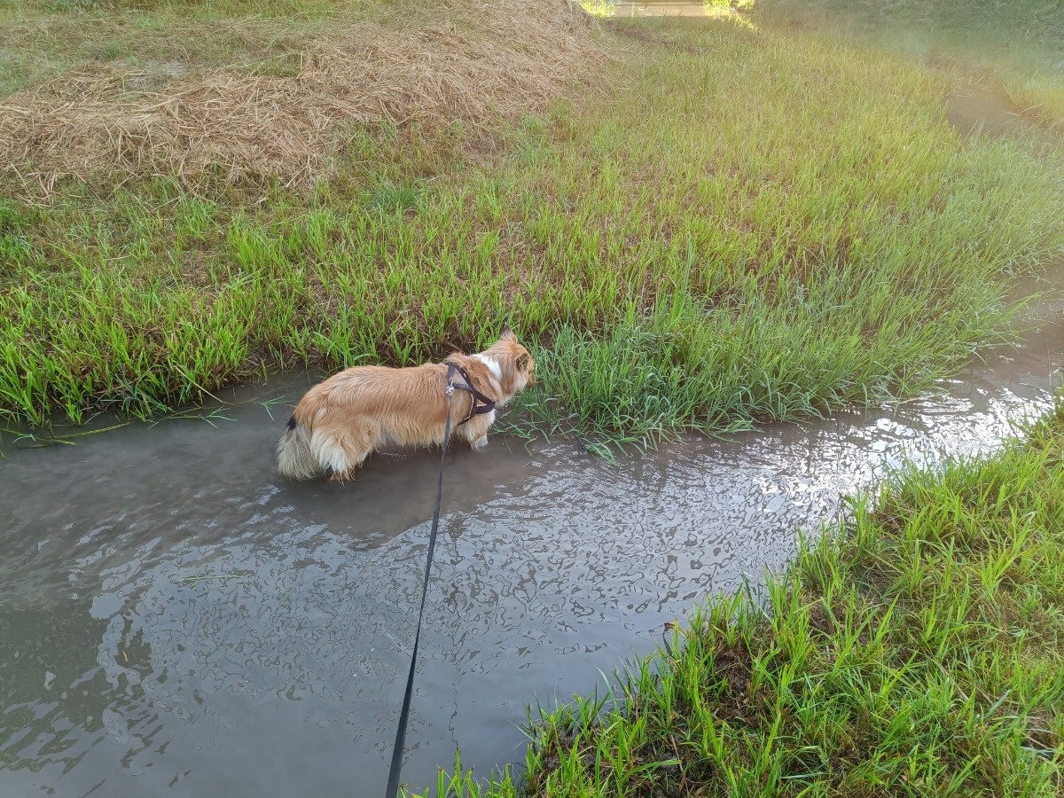 65237d5d-fd16-4929-b21e-2ce3ac87a444