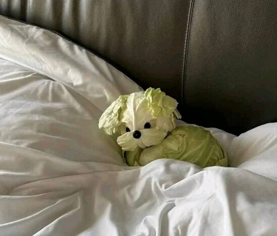 923f4d8a-e853-45b6-8bf7-f2b27b8fd99a