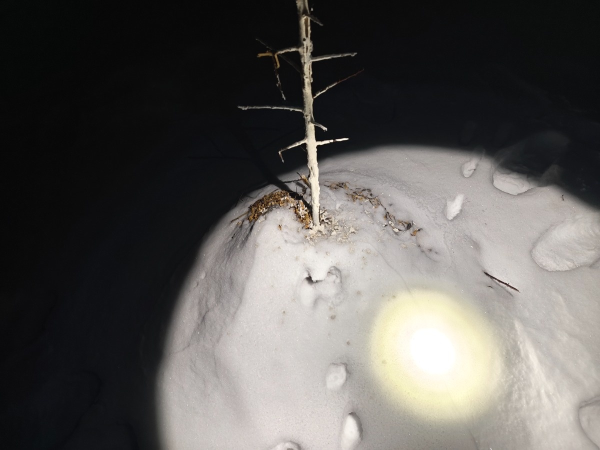 82b08181-0a3d-4dd1-8e90-db762d2ae789