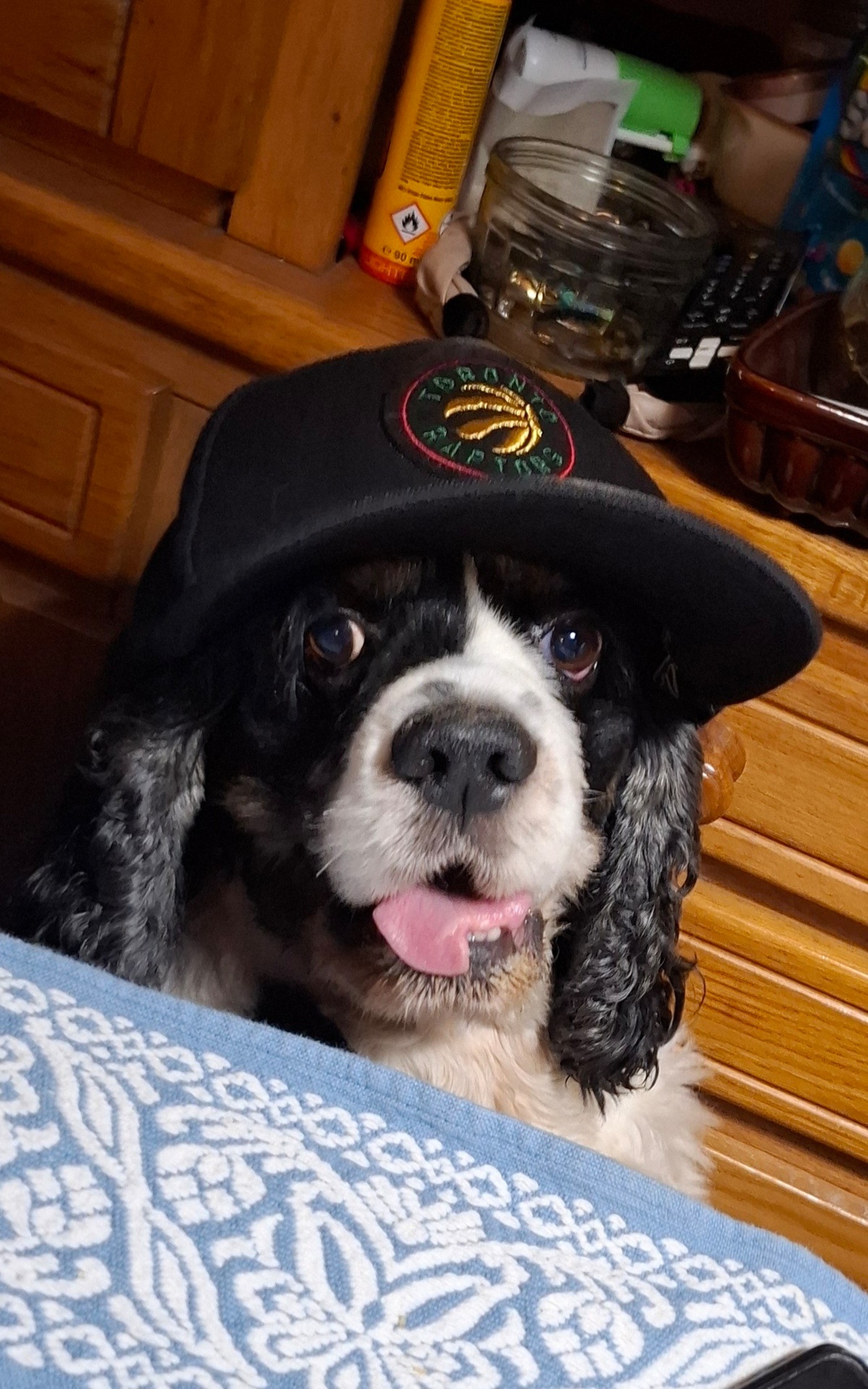 0490e489-a27b-4110-87f5-3e7730acd9ff