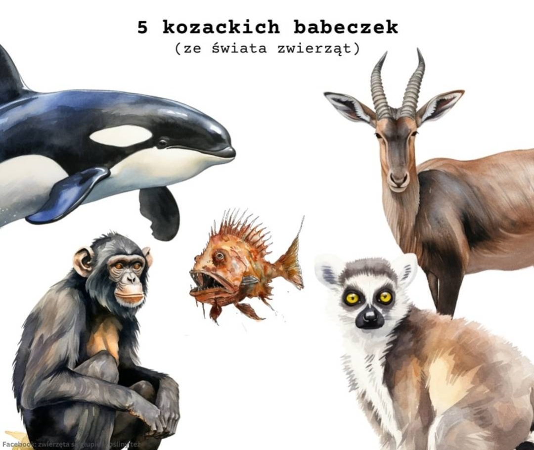 bdc87695-b086-4e50-86e3-4731ec1dd32c