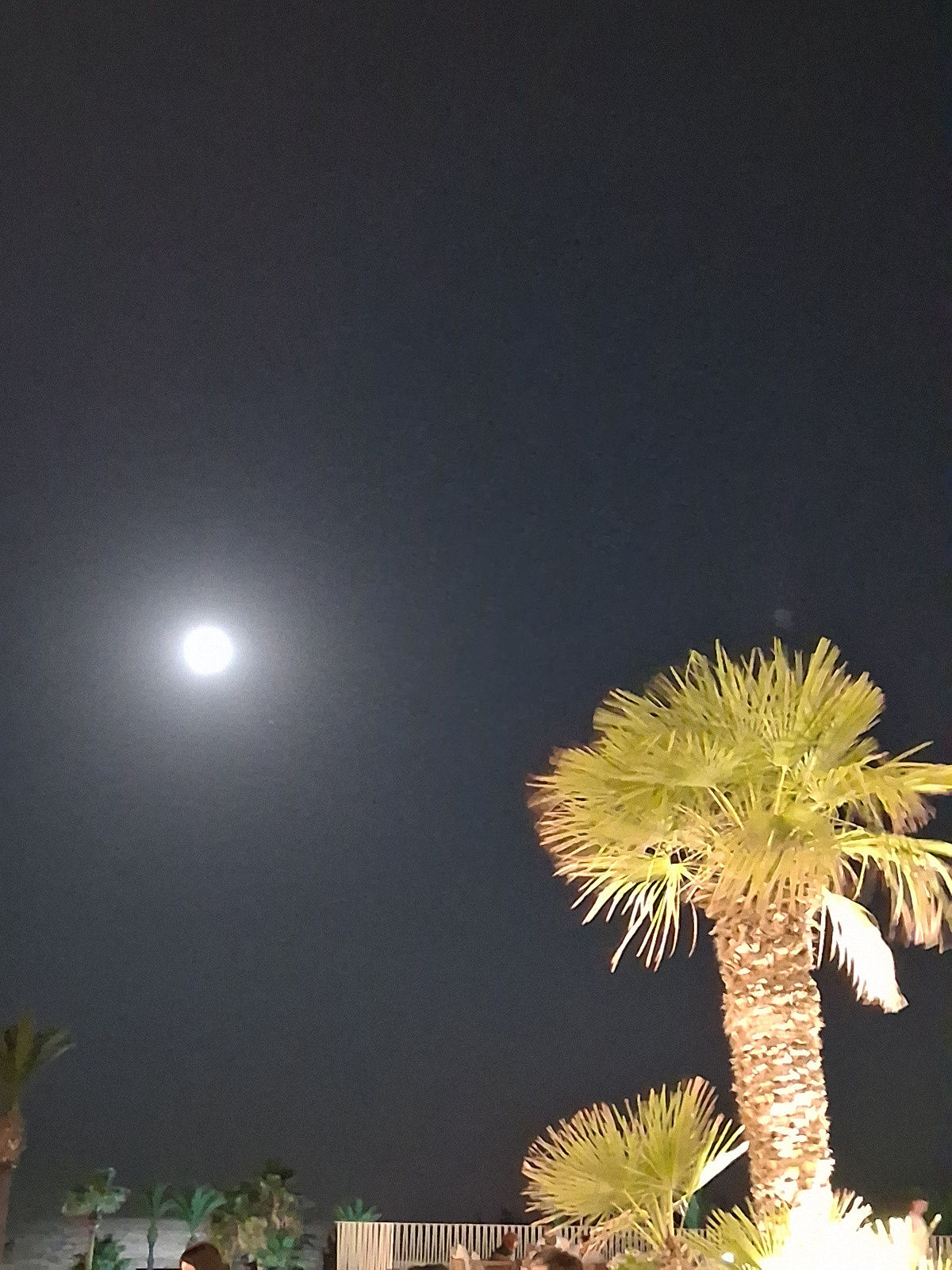 aa0e1ff7-99d5-4002-9735-88fb643ef925