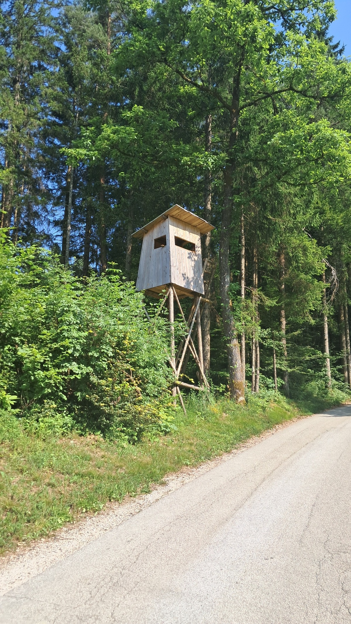 886707ce-5d29-424b-a411-45674001be1e