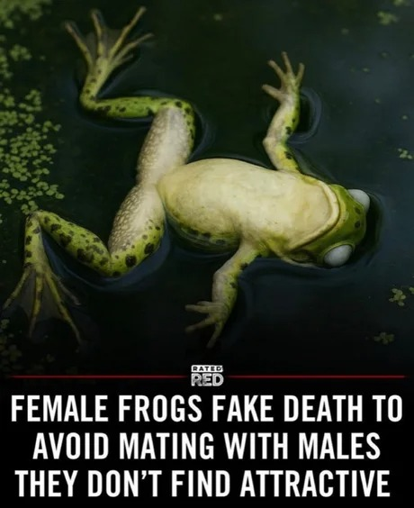 5567aad5-4a3f-483a-9a3b-31f85b116294