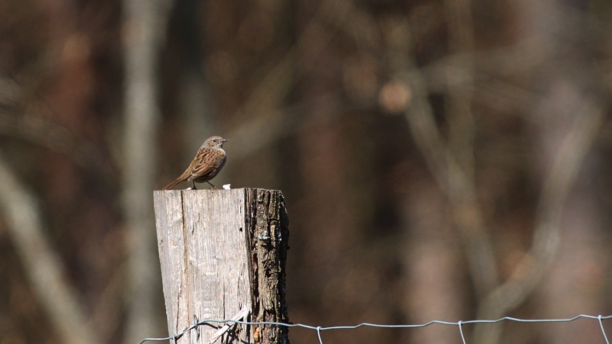 2ccdf23a-7f6c-4c33-91f3-2702f34b2757