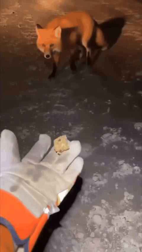 23ab5505-4a56-4500-86e8-ed92fa3988e8