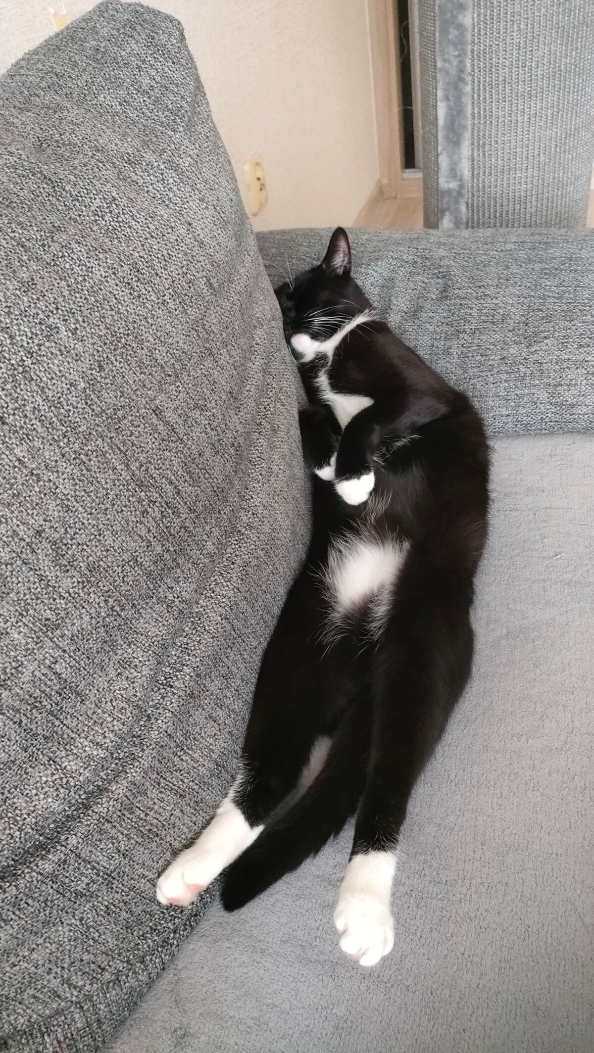 8d9bb93c-cfb2-4af0-8c89-f4ffac5d0aa7