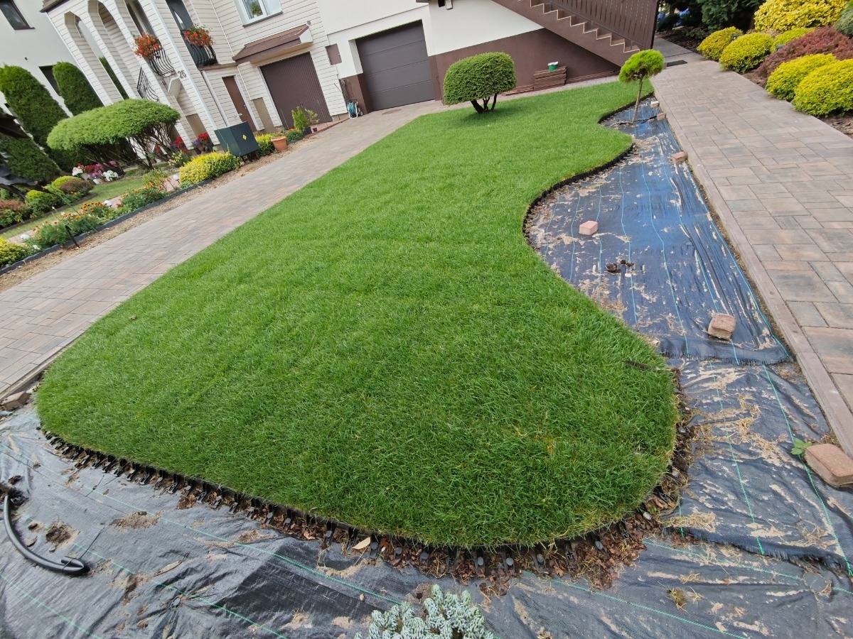 3b135c10-13fd-4a71-955a-85bc19e15bec