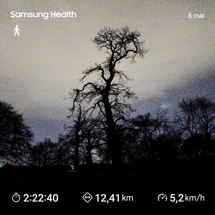 1ace07b0-2e26-48c0-91b7-612ec5dfcd4e