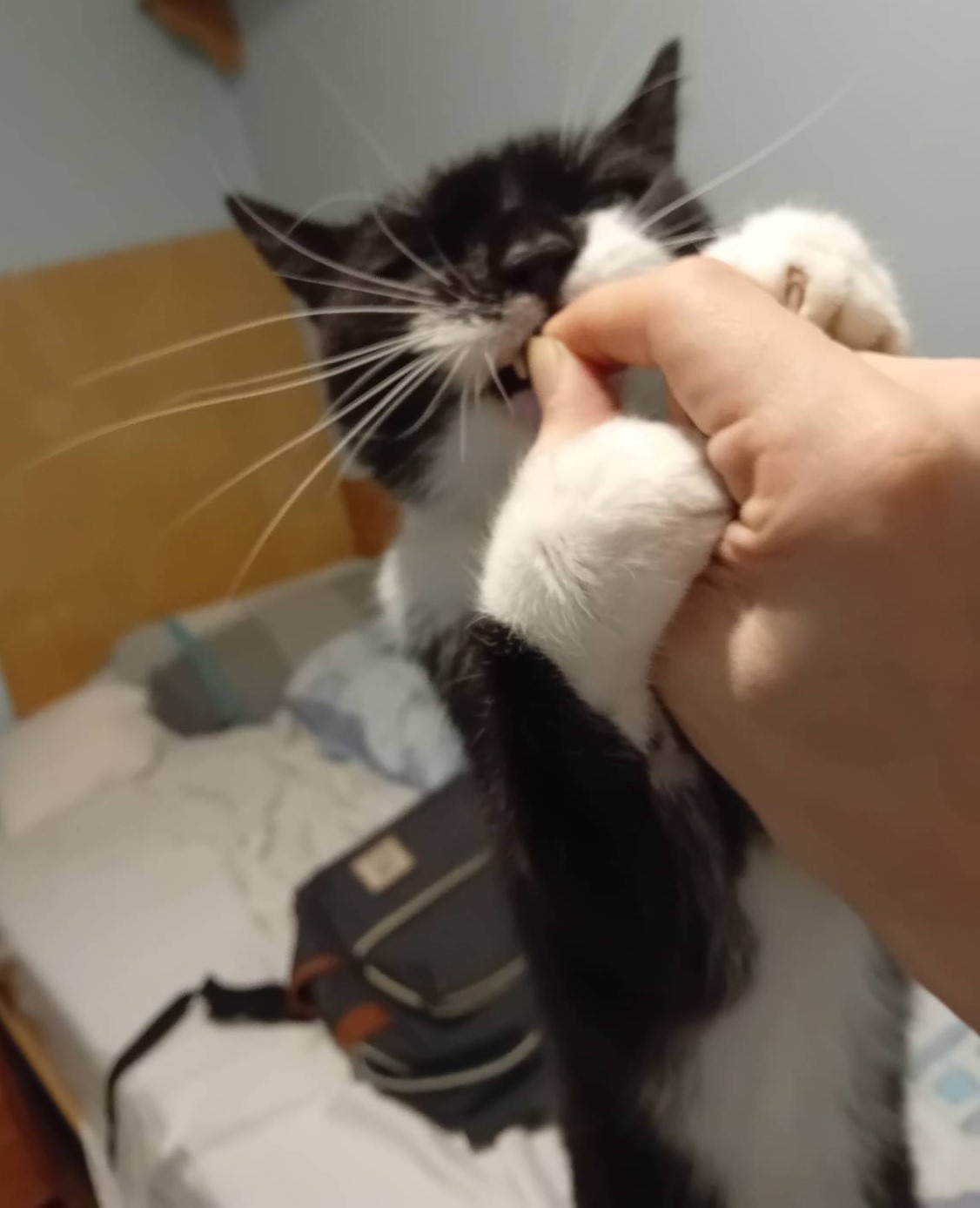 ec8f9e31-917c-4b69-abf9-9bc568d3deba