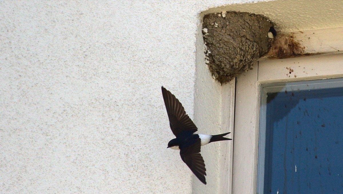 06b1bcbf-895d-490f-b6cc-9b58eeffa314