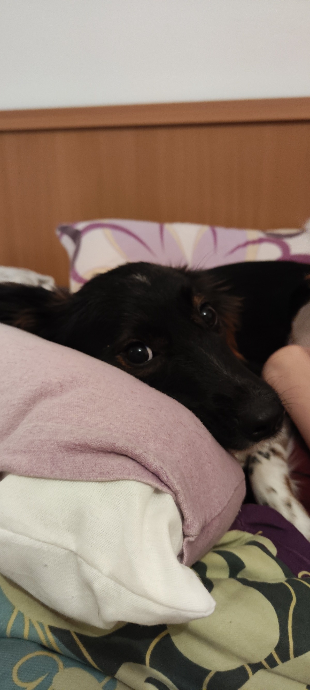 38d8c04e-2194-4026-9974-f574564de7f4