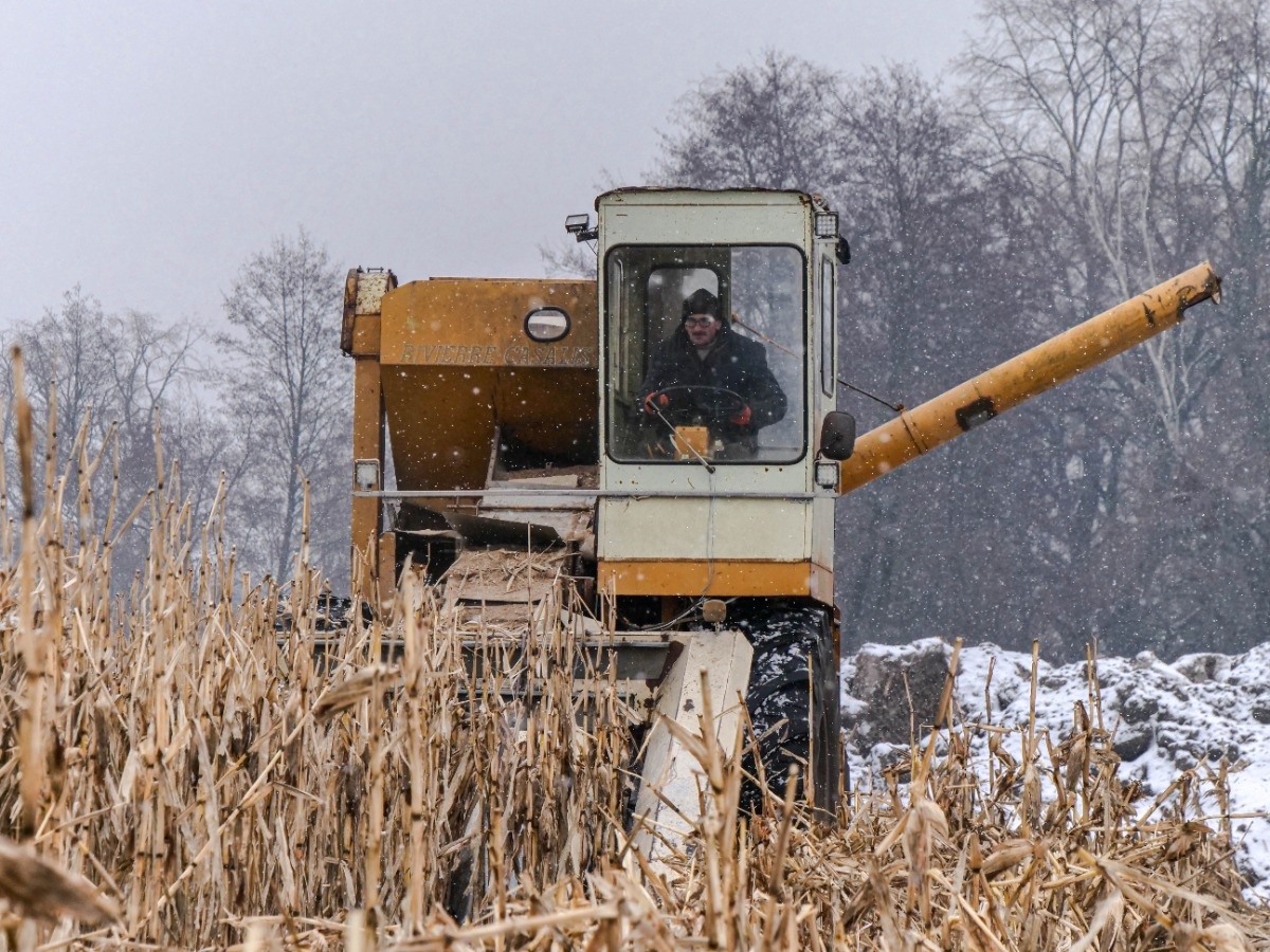 efdef87a-8677-4046-af9d-acfcd7ee2e4a