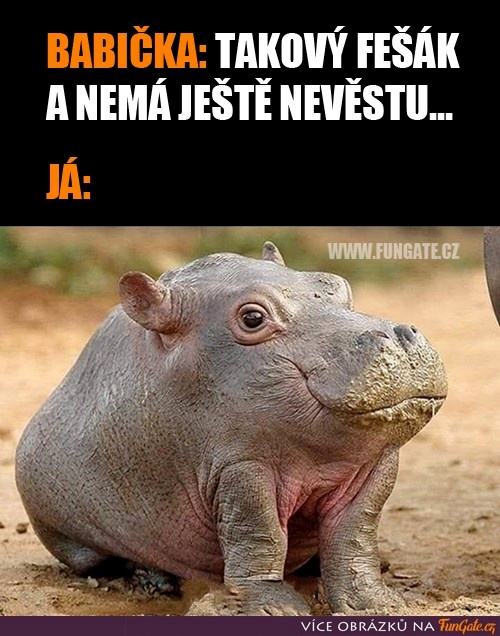 9216d331-7312-47aa-ae87-38474b936e04