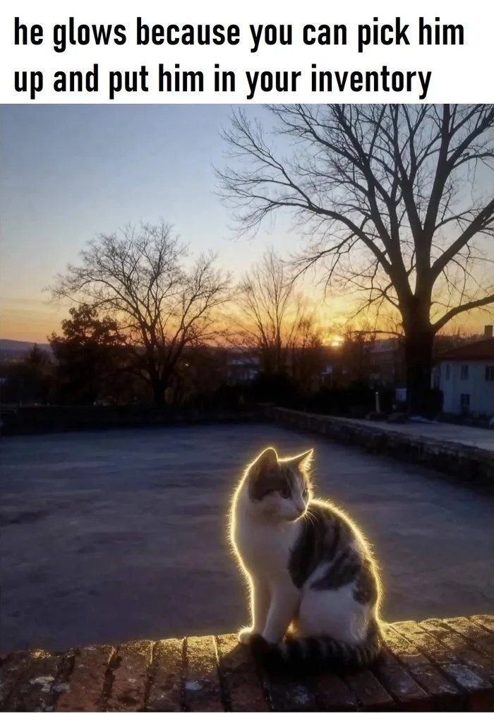 5e52b789-b84d-4f5a-a107-dd6a7806e083