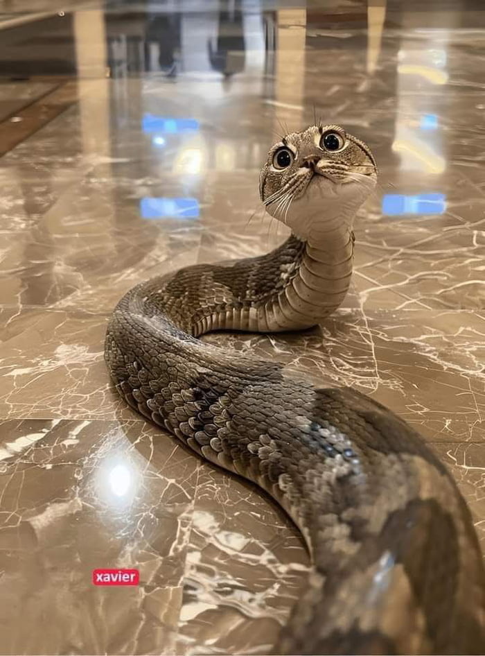 a0b13002-9c37-4727-9ad0-a096df90fea5