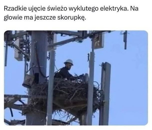 6affd4dd-eccb-40ea-8ca6-0dad907db289