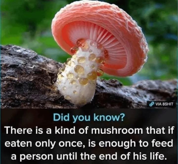 385ea05c-703f-4a72-be57-b97be28bc65c