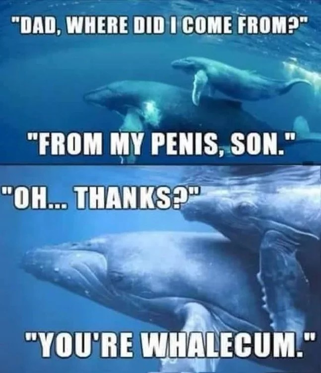 eedc64bb-2ab5-41d2-a74b-89f5317fa34c