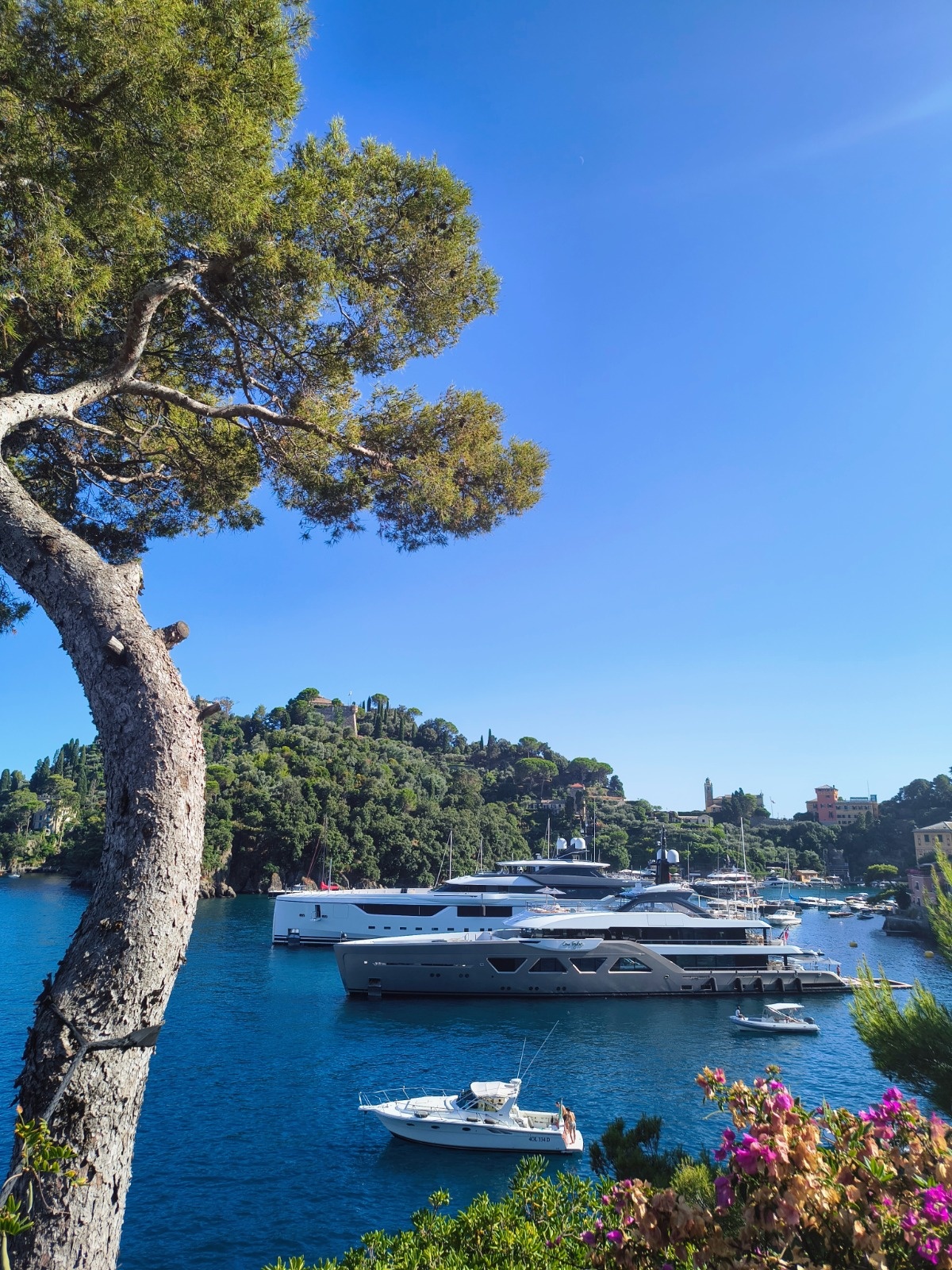 ab1a7dae-243d-475a-a77f-30600b9d2201