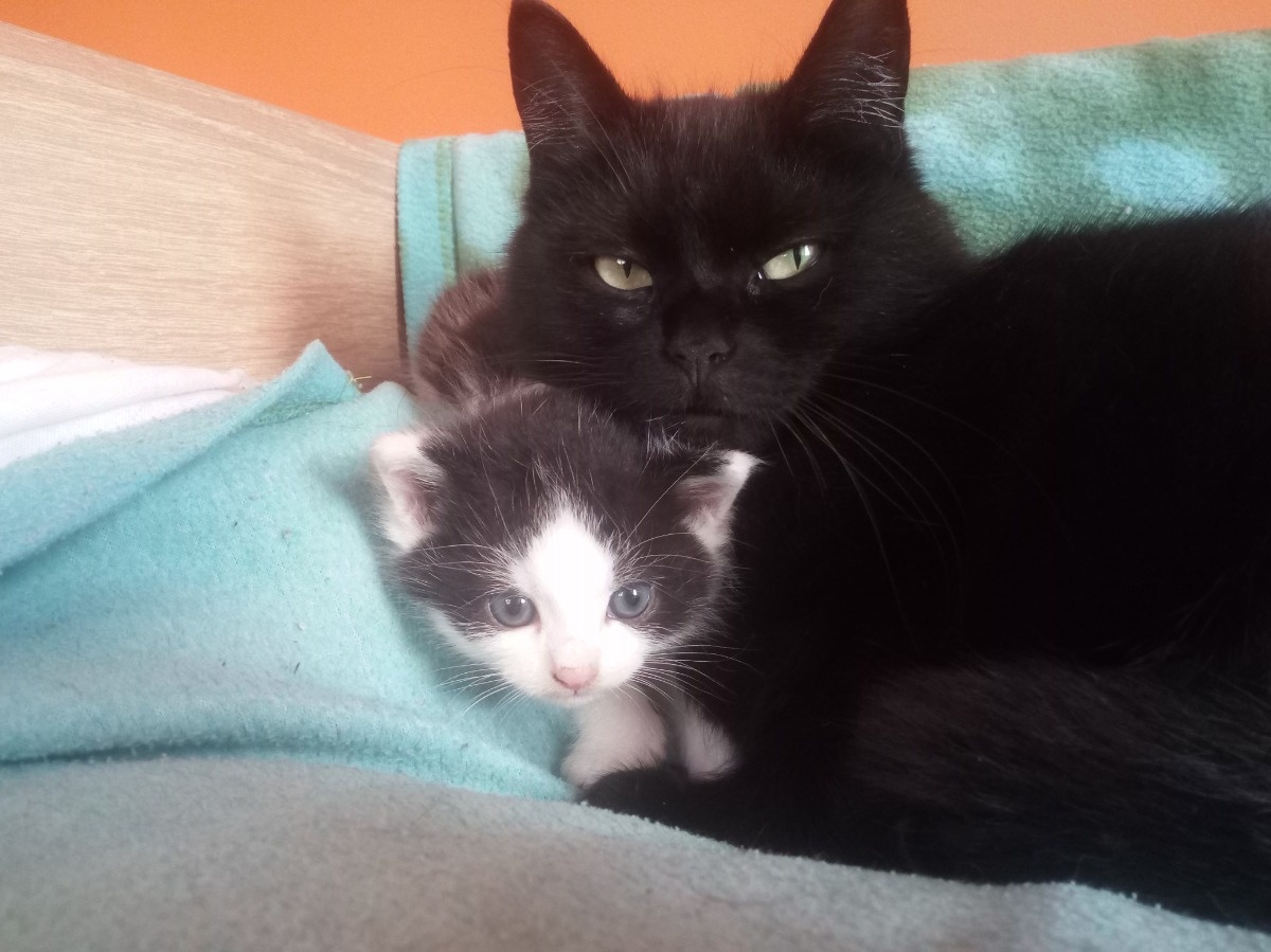 8bc0505a-3b15-429b-bfb4-5c8d10ebd20c