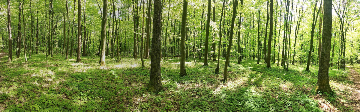 af0b303a-0d57-408e-a4f0-7d5ec10bcd94