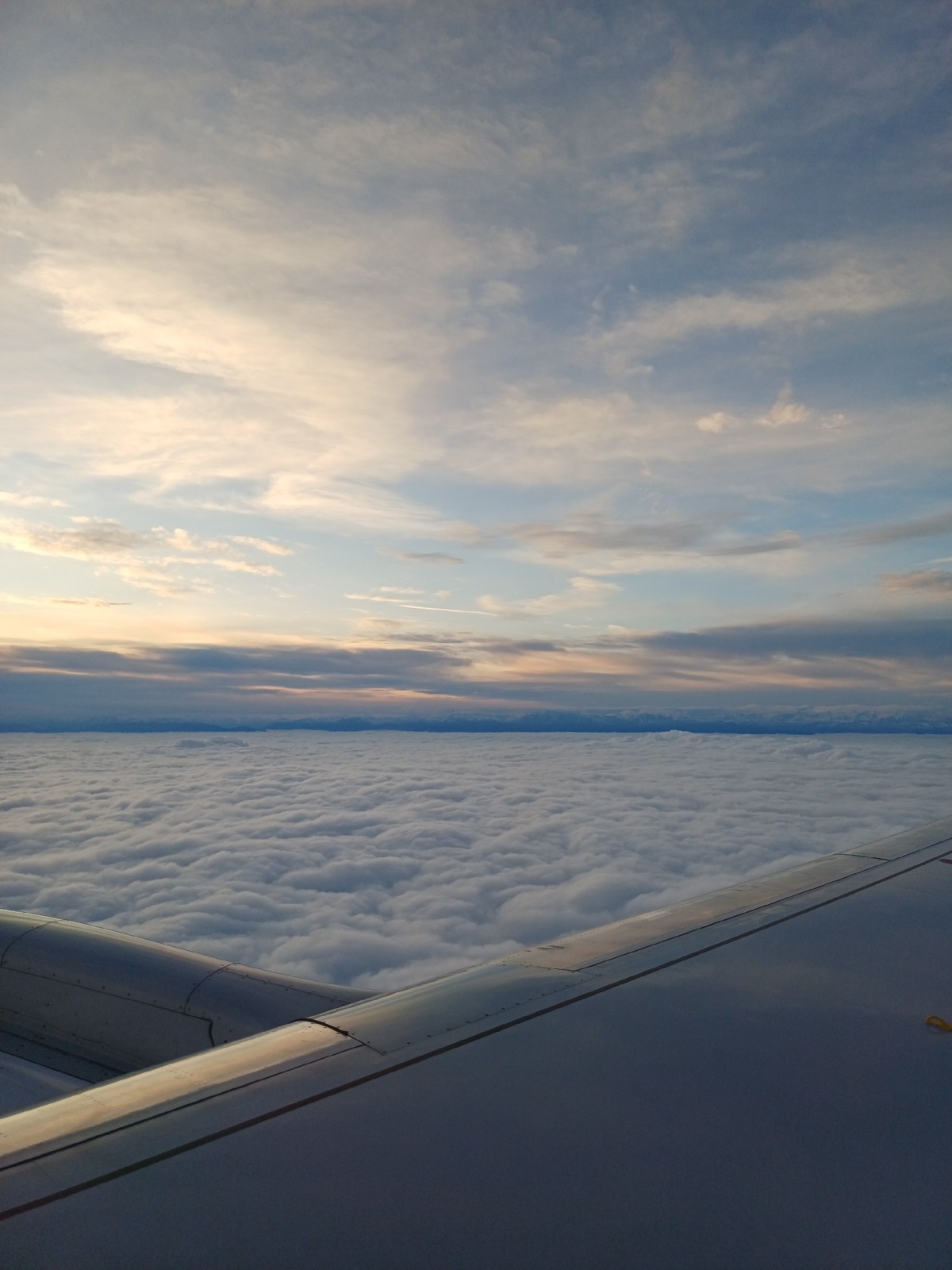 71cd0a58-08cd-4dcc-811e-574a2f9e39dc