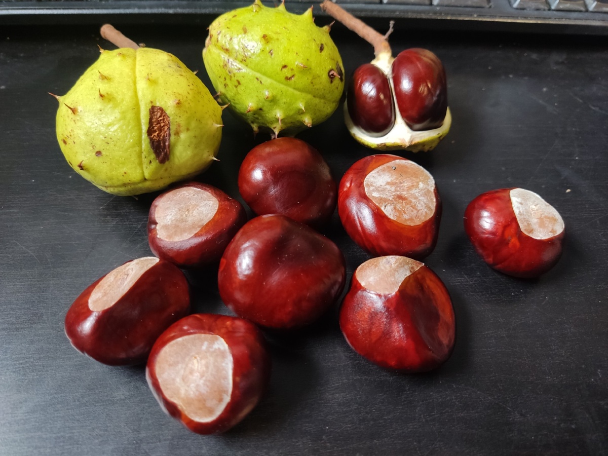 ba8eb38c-b7dd-4f3d-ac3a-43b8a6260b2a