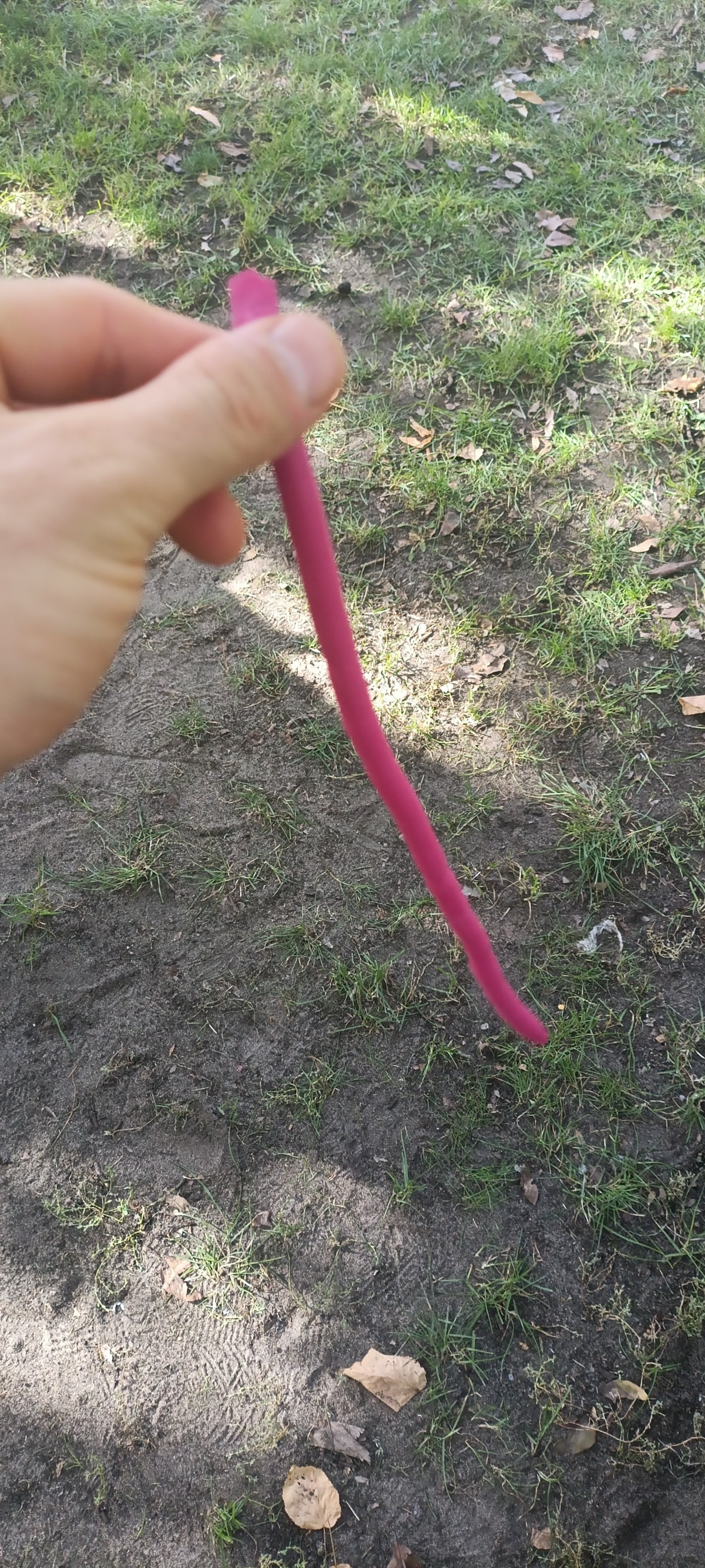 0d1feae2-110a-445d-a286-5cc4d67debba