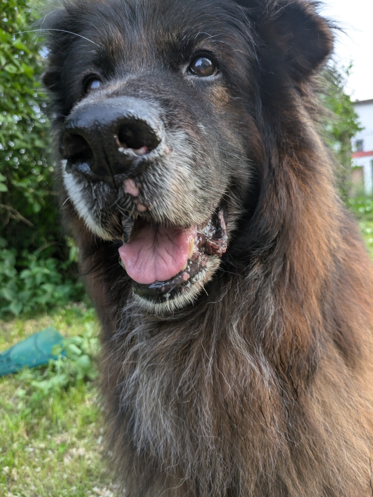 f0f13c56-db78-4057-bb78-b97481318b71