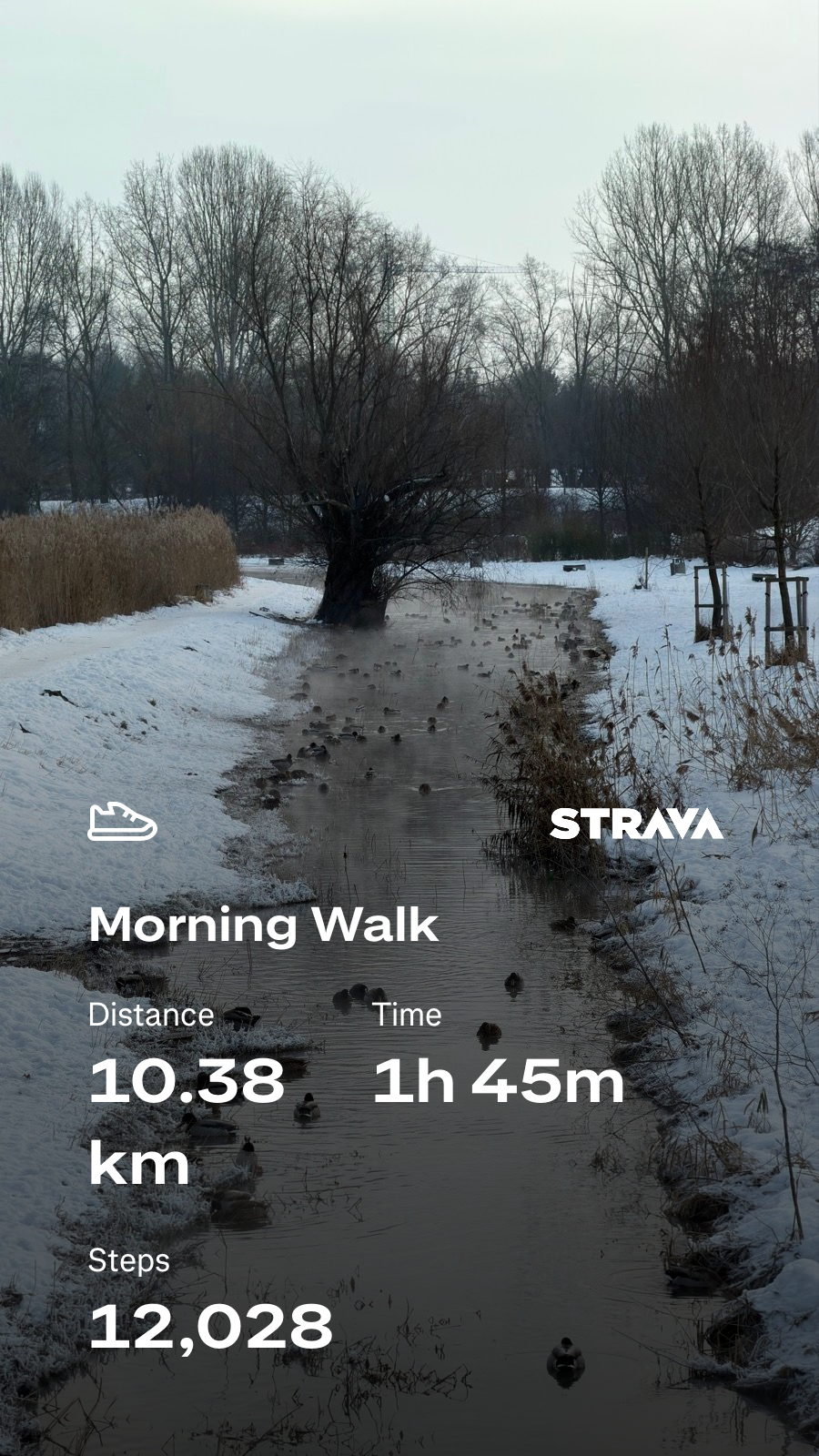 7e5c532b-ed7c-4d5b-83de-9afb797b0833