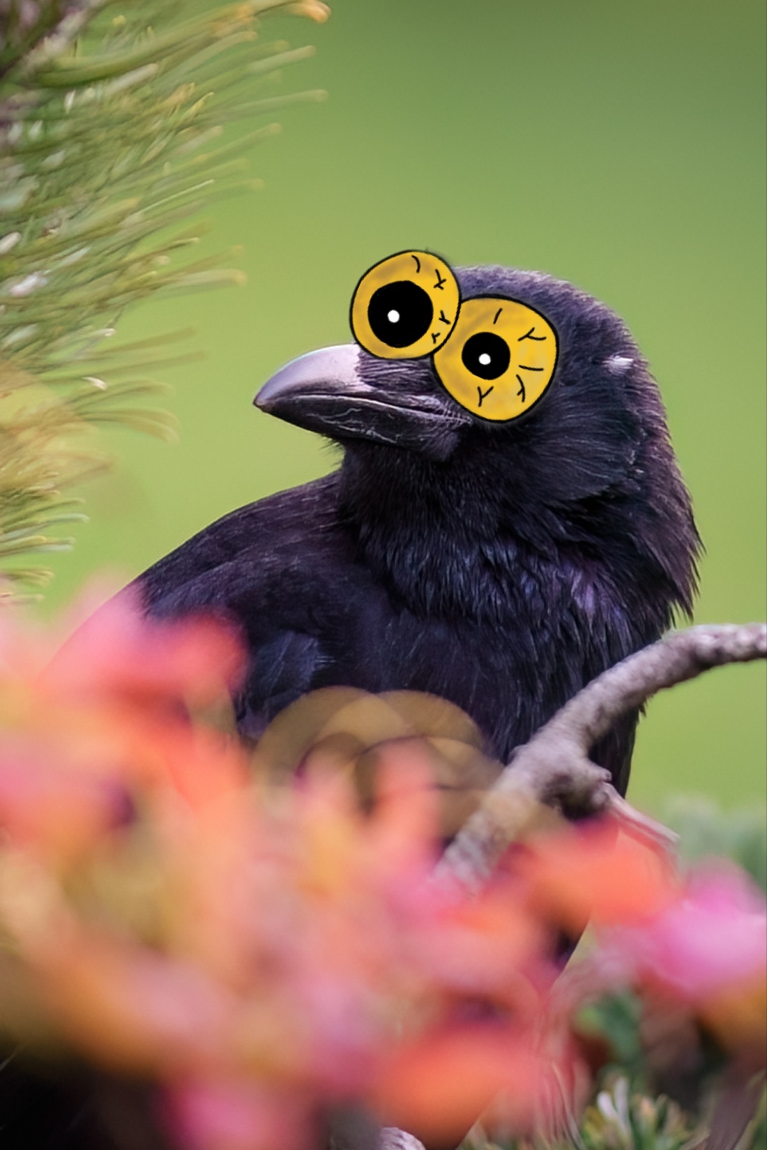 a39f8f8c-c927-45ca-b194-2c07e8b8f4cf